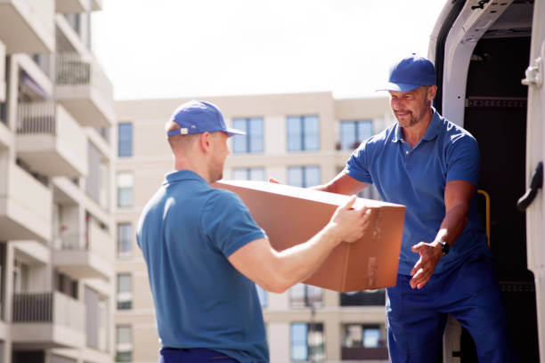 Furniture Movers in Mirdif