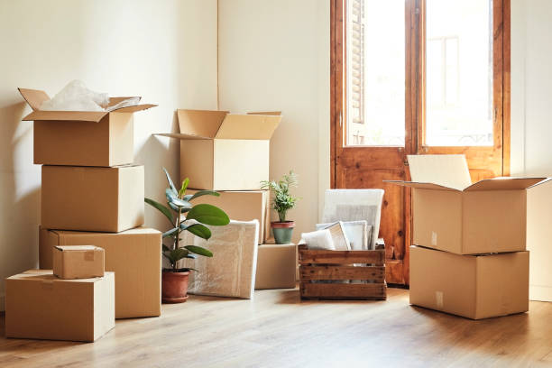 Movers in Karama